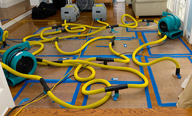 Professional Water Extraction technician working in Meadville, PA